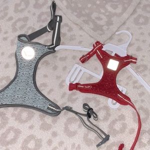 RED PUPPY XS harness.Teal M/L harness. adjustable straps.vibrant life brand